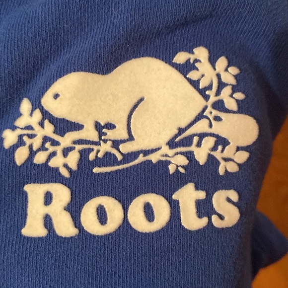 Boys Roots Zip up hooded Sweatshirt - Picture 2 of 6